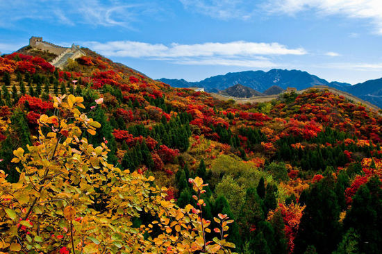 延庆有什么好玩的地方，延庆必去九大景点