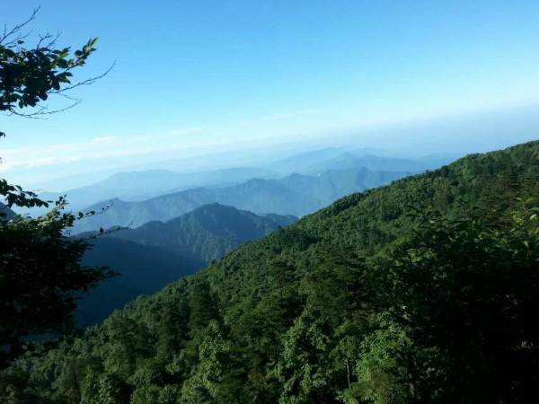 免费爬峨眉山的路 wKgB6lP5UguAELzVAAG2fr-uNks42.jpeg?imageView2%2F2%2Fw%2F600%2Fq%2F90%7CimageMogr2%2Fstrip%2Fquality%2F90