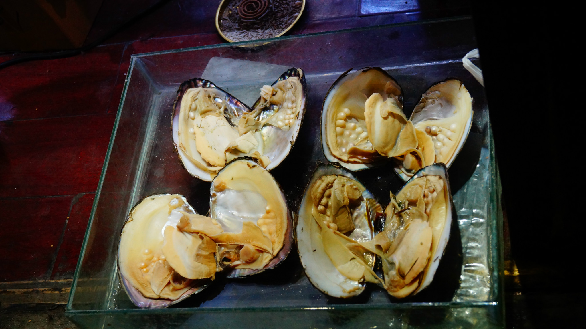遂溪人口味_遂溪孔子文化城图片