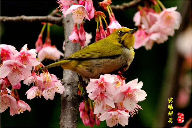 wKgB6lT4EeKAZAowAAdGmqgjEIs689.png?imageView2%2F2%2Fw%2F680%2Fq%2F90