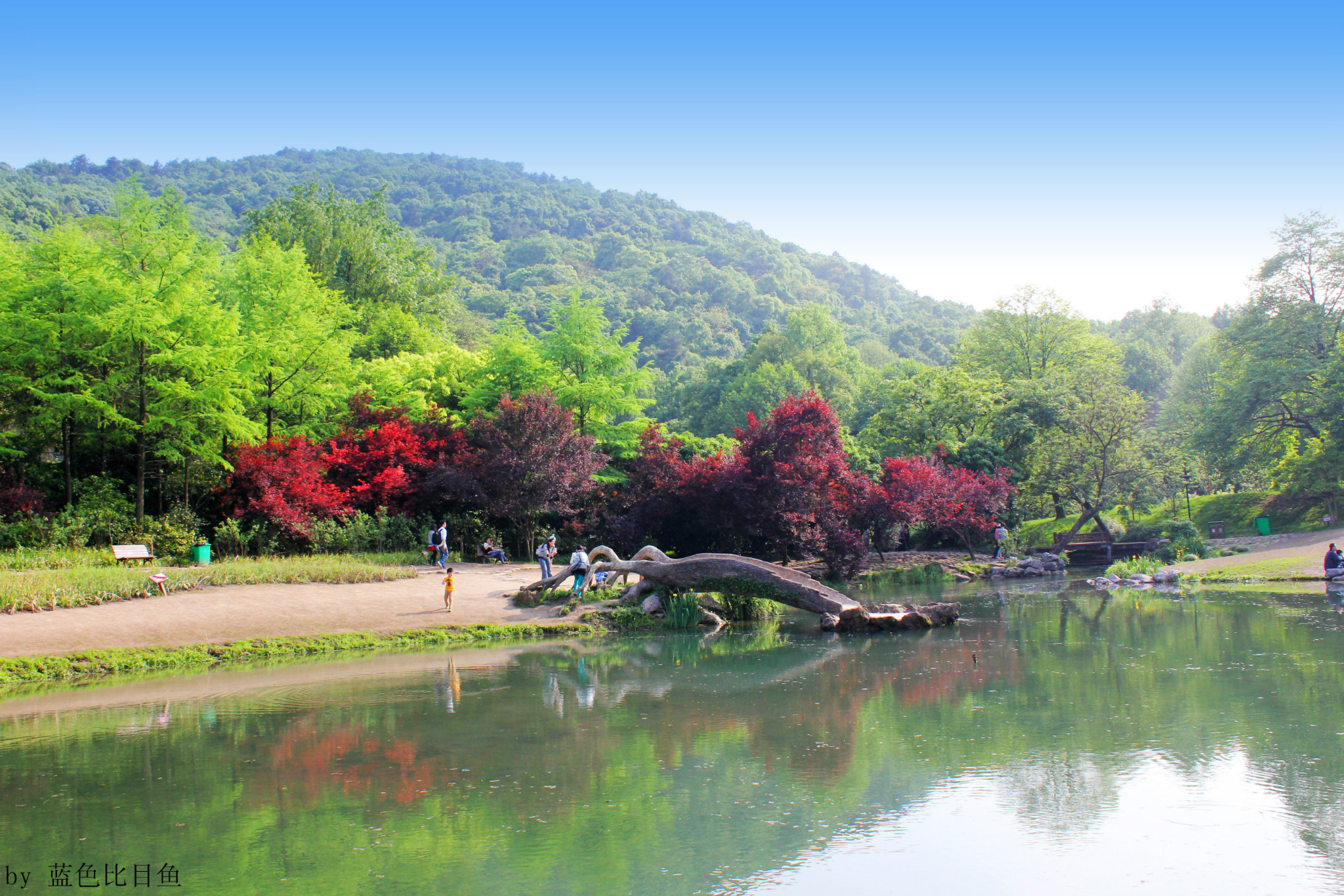 杭州西湖风景自然图片大全-杭州西湖风景自然高清图片下载-觅知网