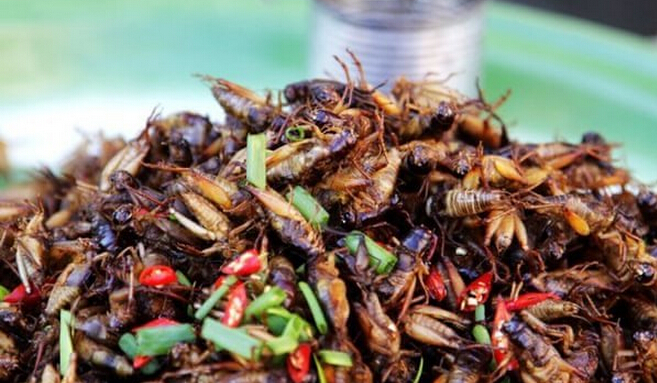 重口味美食柬埔寨绝对是当之无愧的第一