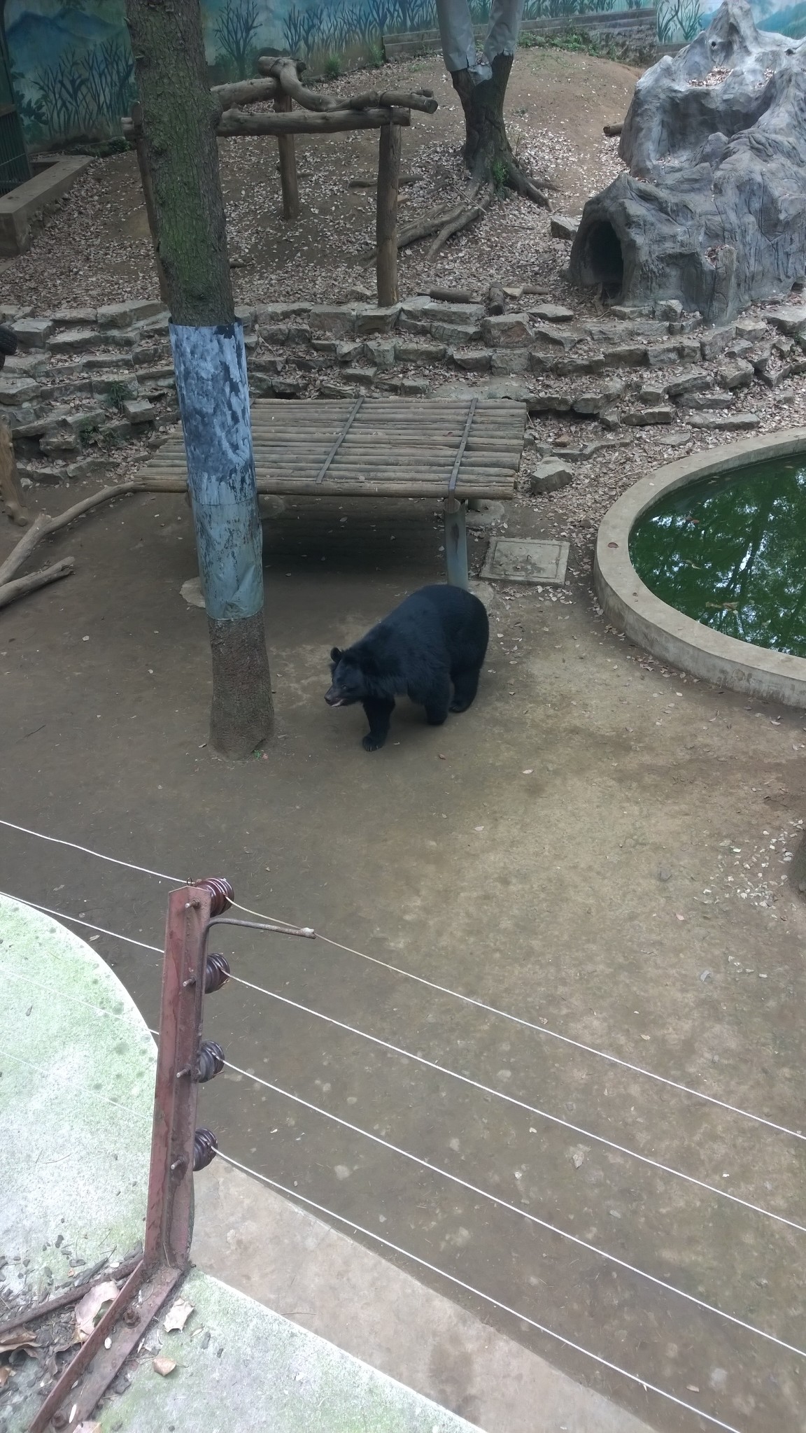 红山森林动物园,南京旅游攻略 - 马蜂窝