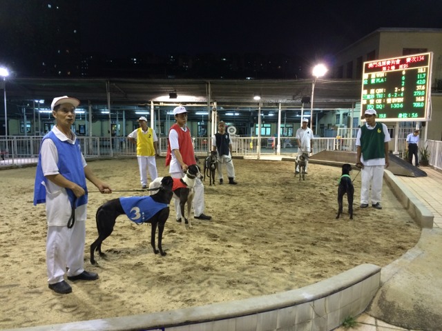 逸园赛狗场点评-澳门半岛旅游攻略