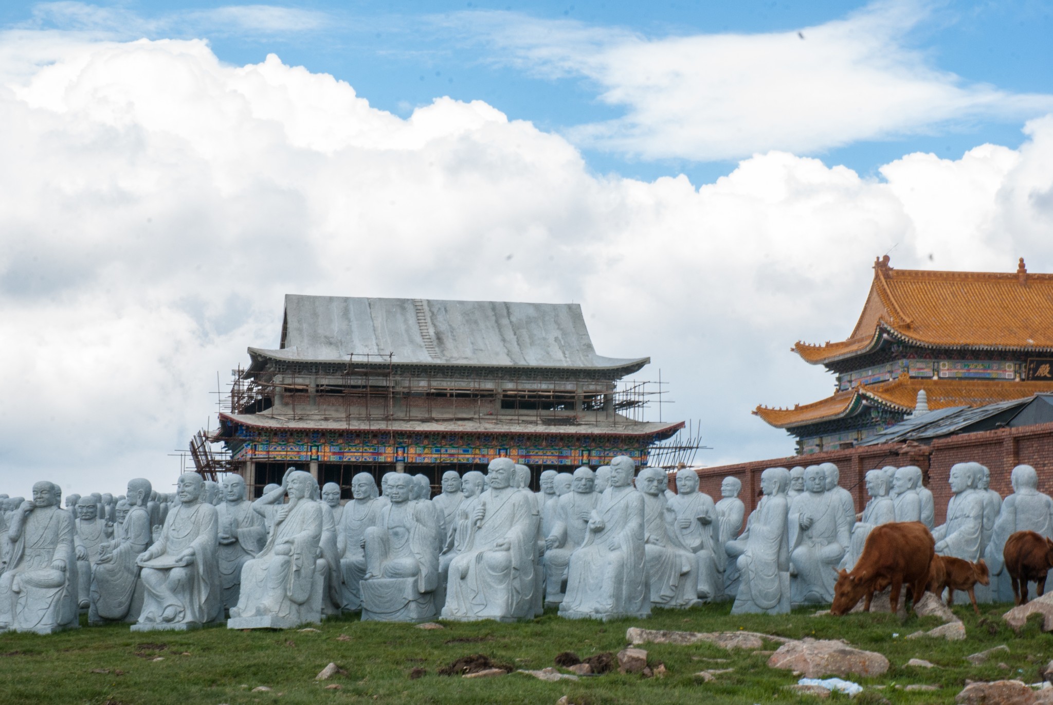 比佛顿人口_中国肥胖人口占比(3)