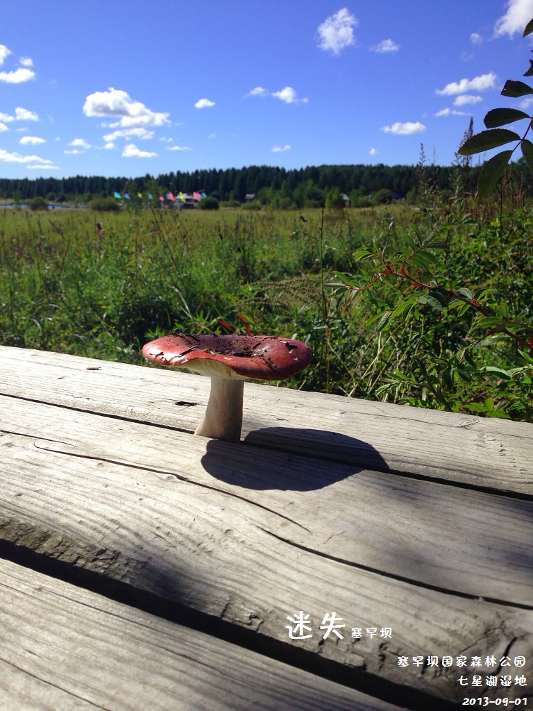 wKgBpVVUw-qAentUAAUvDHNMkOI09.jpeg?imageView2%2F2%2Fw%2F600%2Fh%2F600%2Fq%2F90