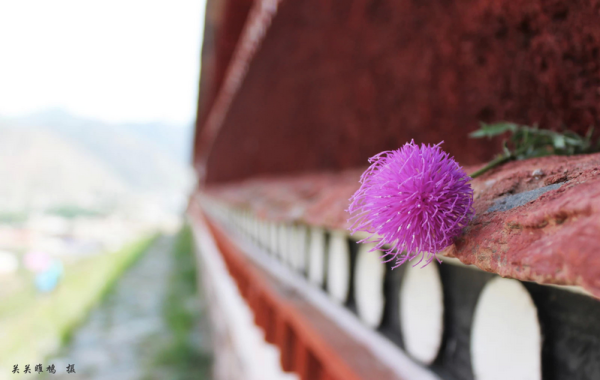 绿加蓝会变黑吗 wKgBpVV-L-uAeiRnAAaroI82wZ4008.png?imageView2%2F2%2Fw%2F600%2Fh%2F600%2Fq%2F90