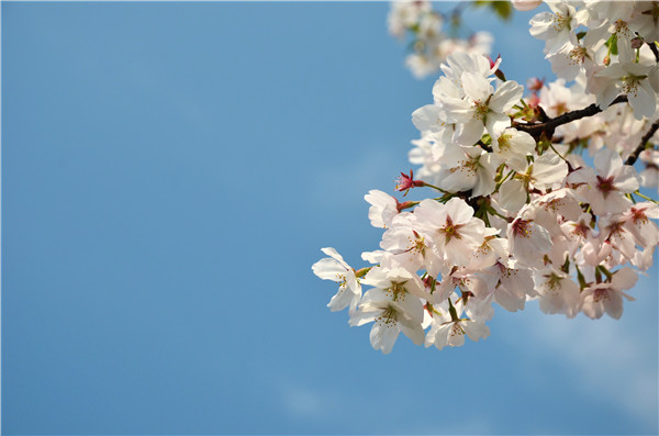 wKgBpVUsgrqAY1svAAENhrnefxA72.jpeg?imageView2%2F2%2Fw%2F600%2Fh%2F600%2Fq%2F90