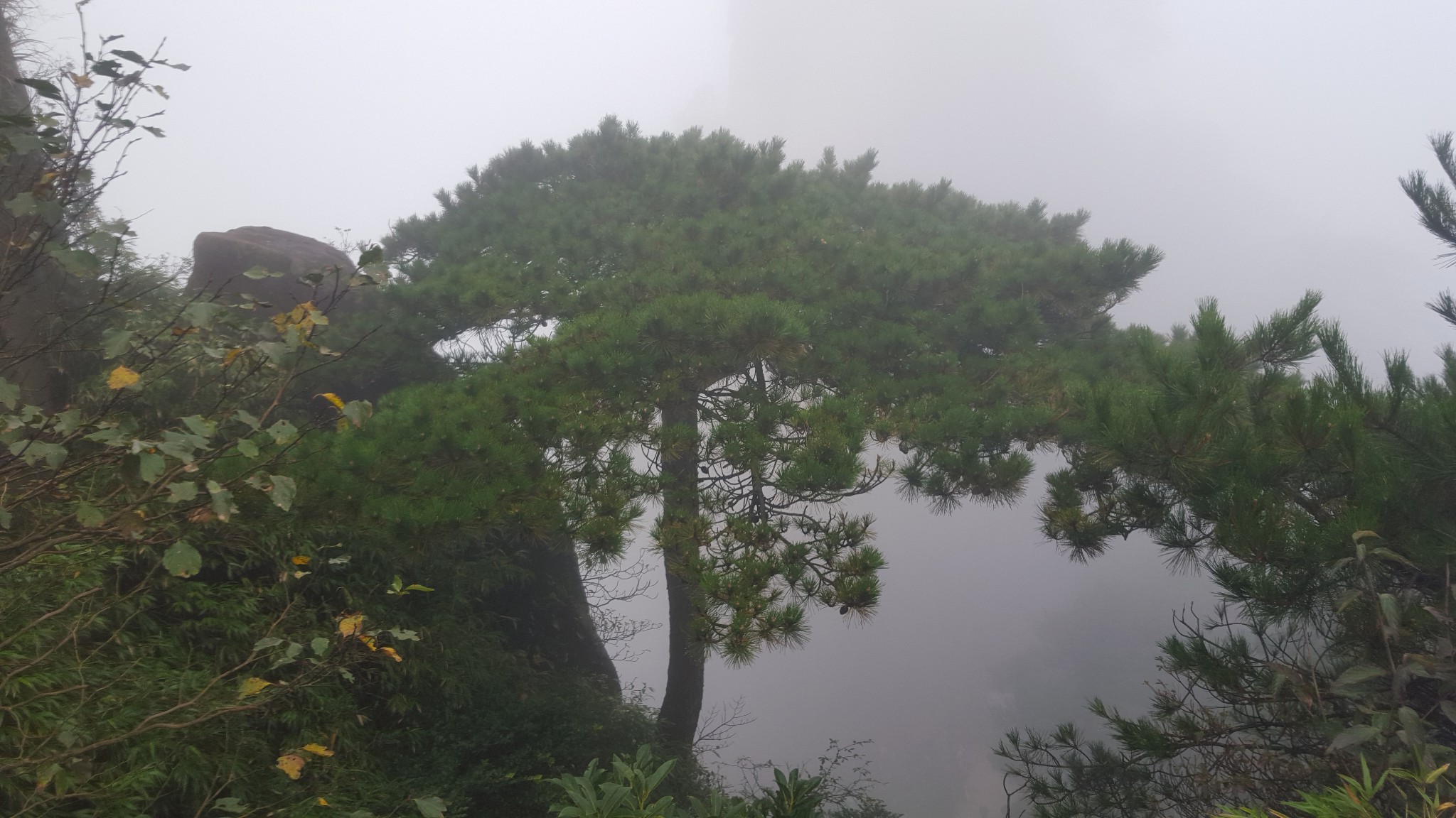 wKgBpVYWCsqAS1A4AAdG18CDAMg35.jpeg?imageView2%2F2%2Fw%2F600%2Fh%2F600%2Fq%2F90