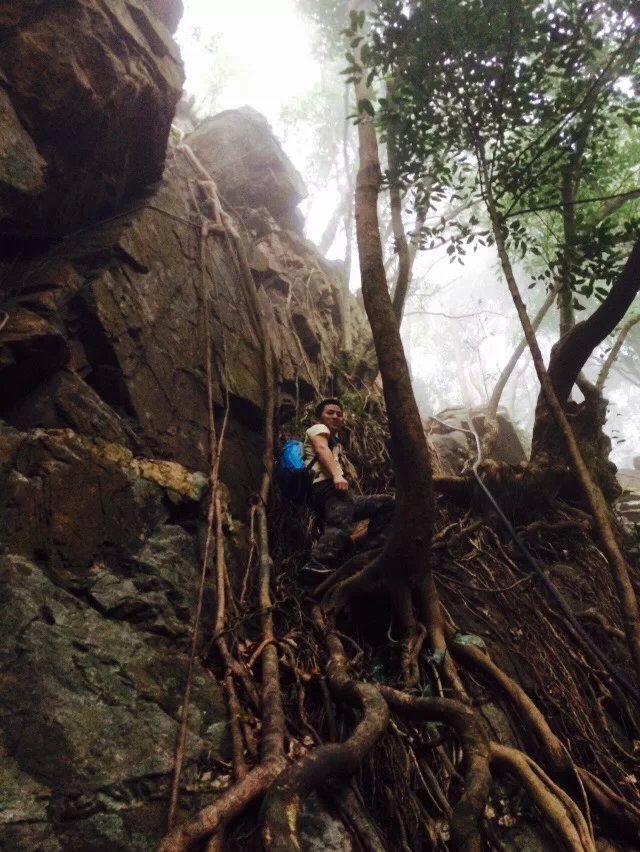 花样游记大赛#寻找燕子崖,梧桐山旅游攻略 - 马蜂窝