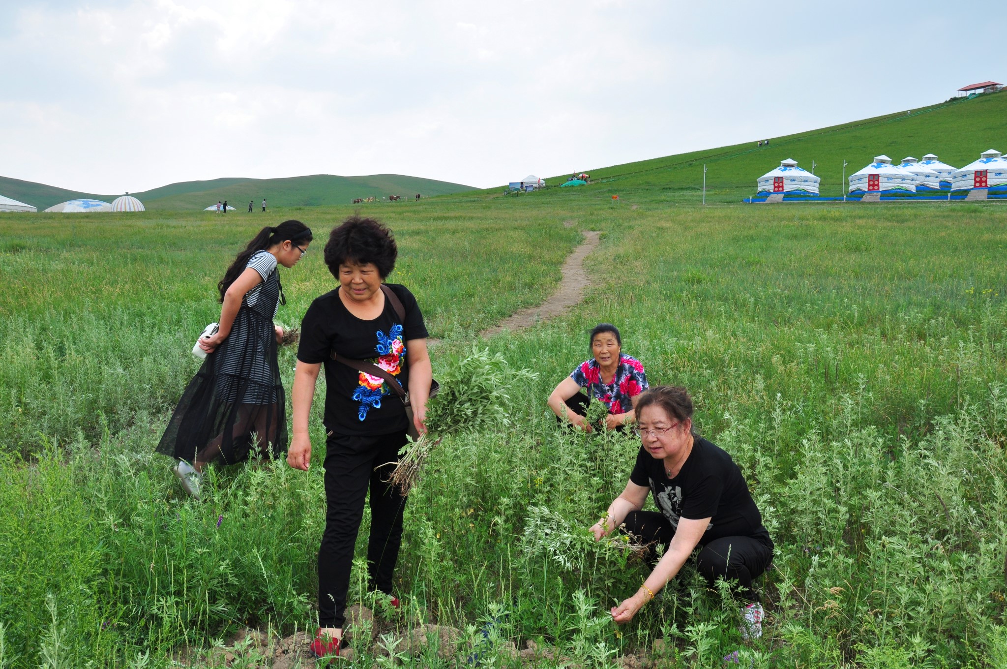 霍林河人口_霍林河人请注意 解封是为了复工复产,不是让你去疯(2)