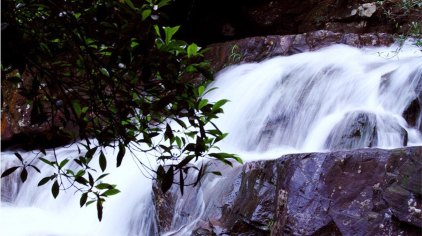 钦州八寨沟门票