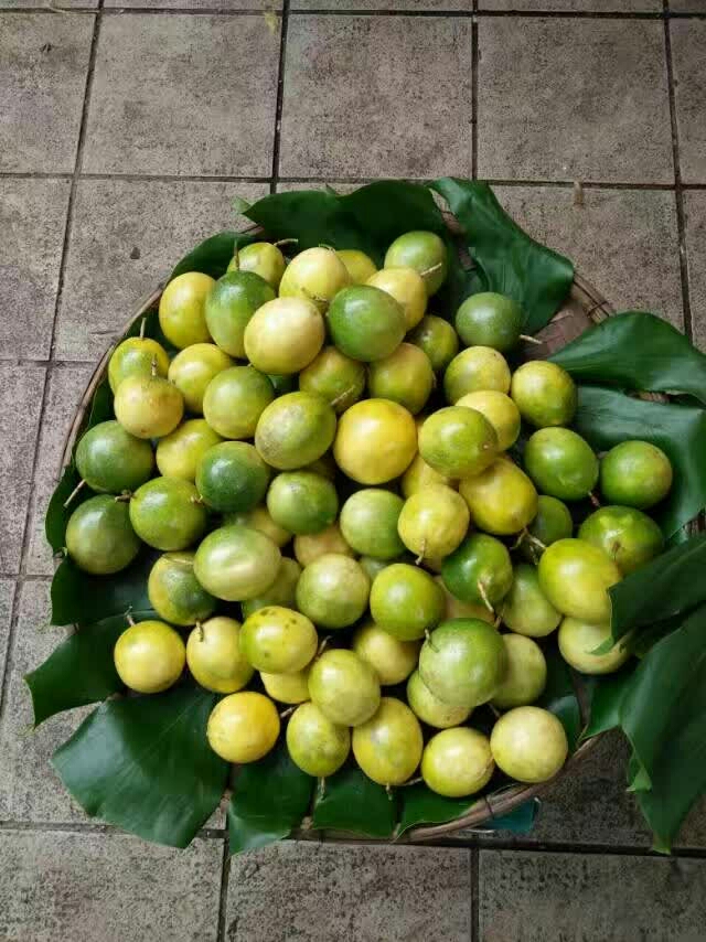 百香果