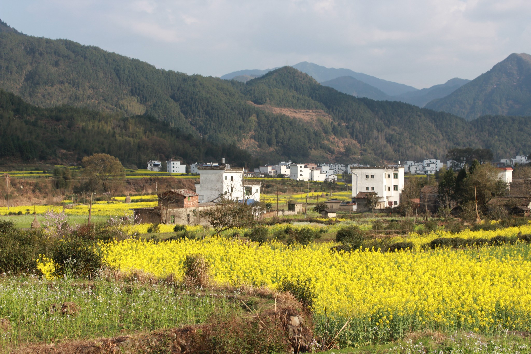 庐山县城有多少人口_8.18庐山(2)