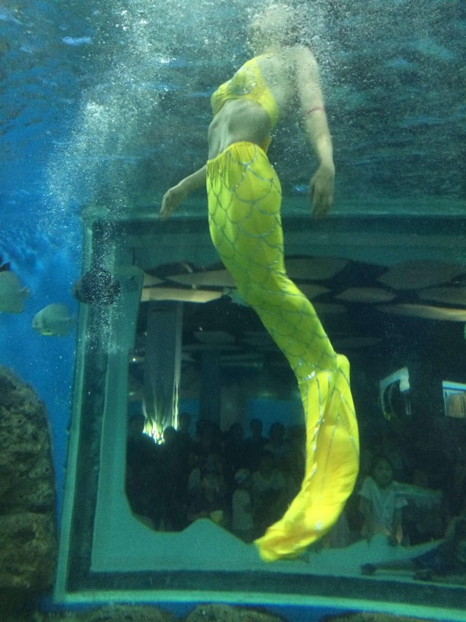 极地海洋馆拥有目前国内最大的巨型圆柱海水缸,海洋生物馆将展出有"活化石"之称的海象鱼,鲸豚剧场:可同时容纳1800余人观看白鲸、海豚等珍惜海洋哺乳动物的精彩表演,由欢乐剧场、海洋科普体验馆、海洋文化商业广场、海洋5D影院等七大板块组成,是集旅游、休闲、餐饮、娱乐、购物等多种功能于一体的大型开放式海洋主题旅游乐园。