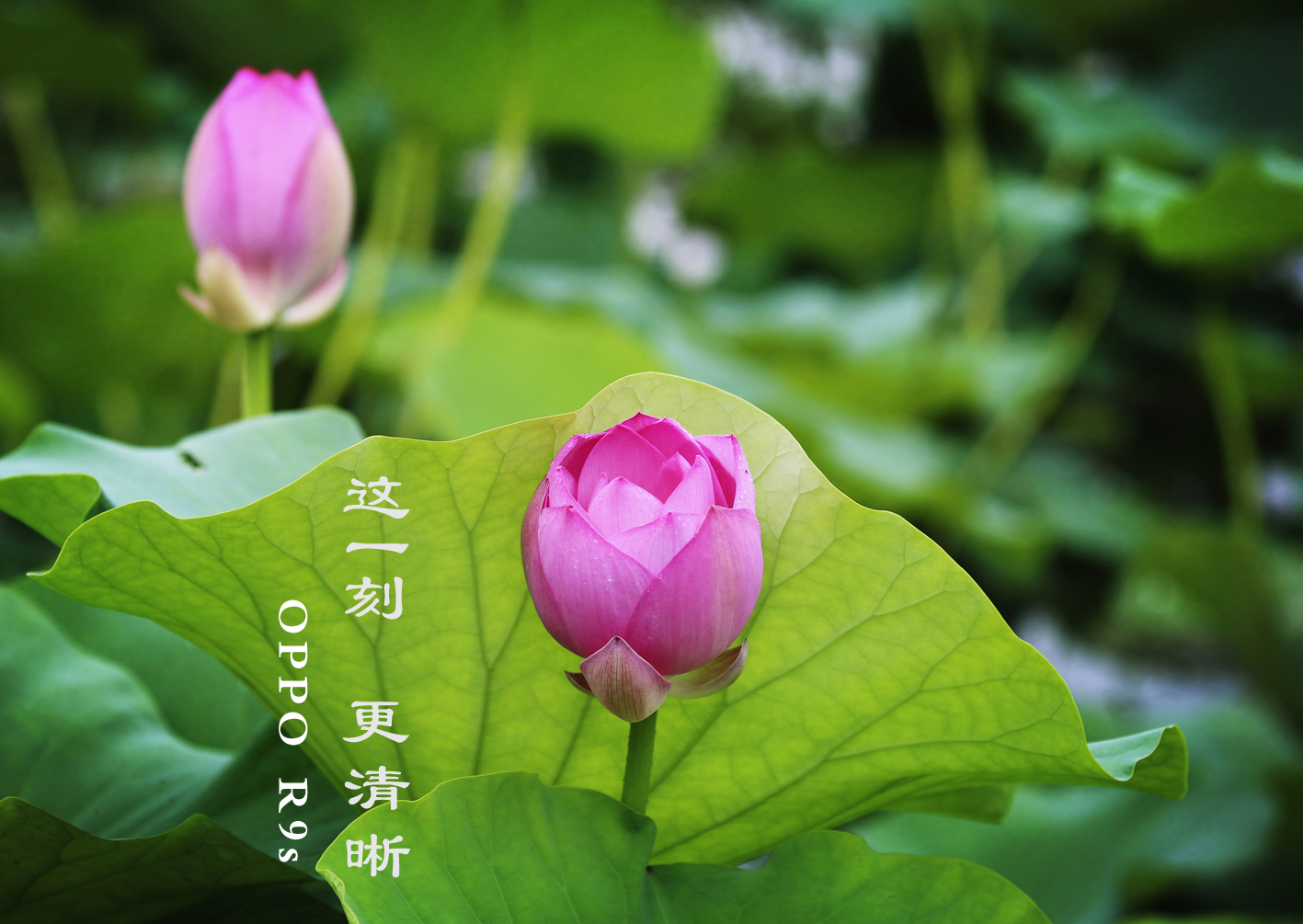 oppo手机桌面小部件_oppo手机桌面小插件_oppo桌面特效天气插件