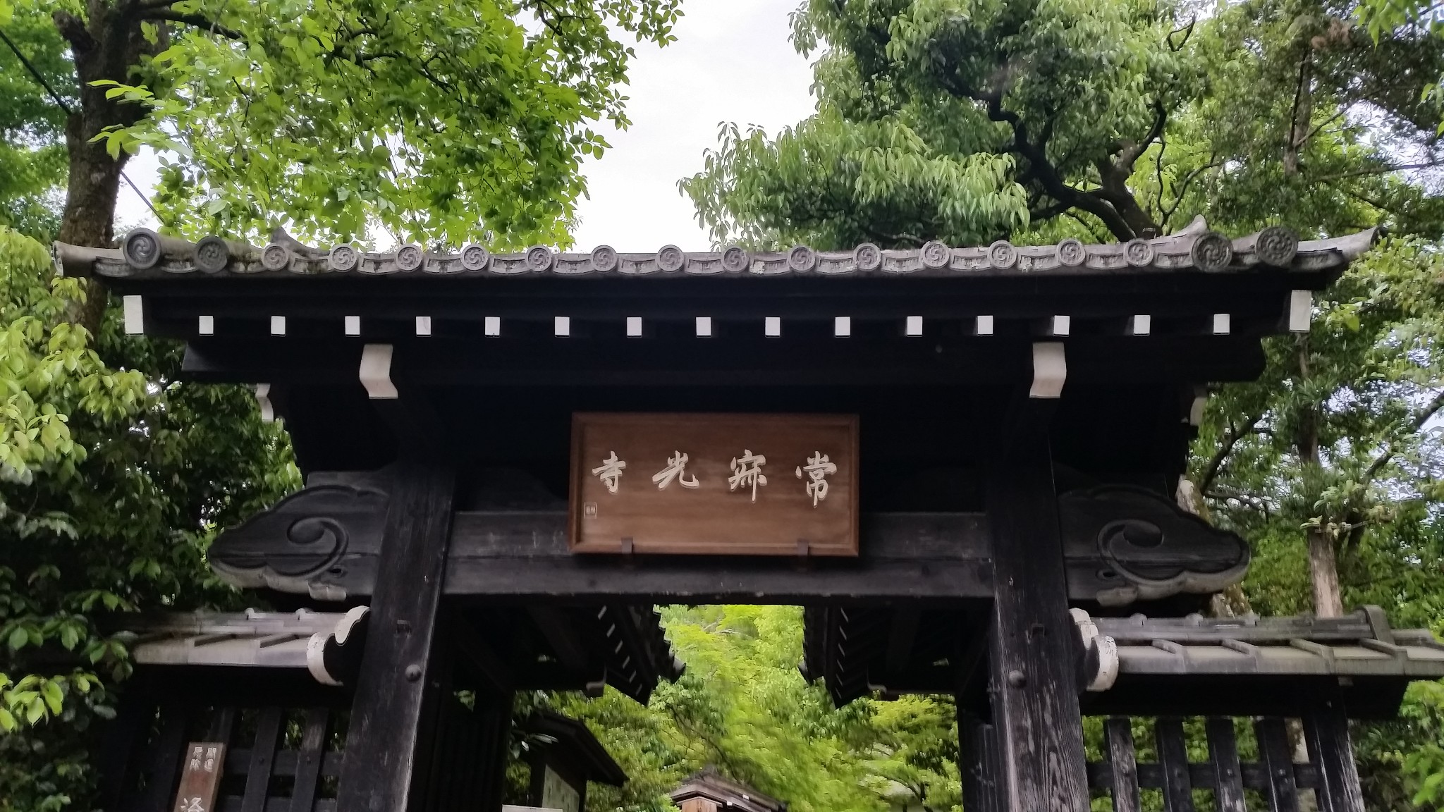 颖上有多少人口_纸巾上有血的照片(3)