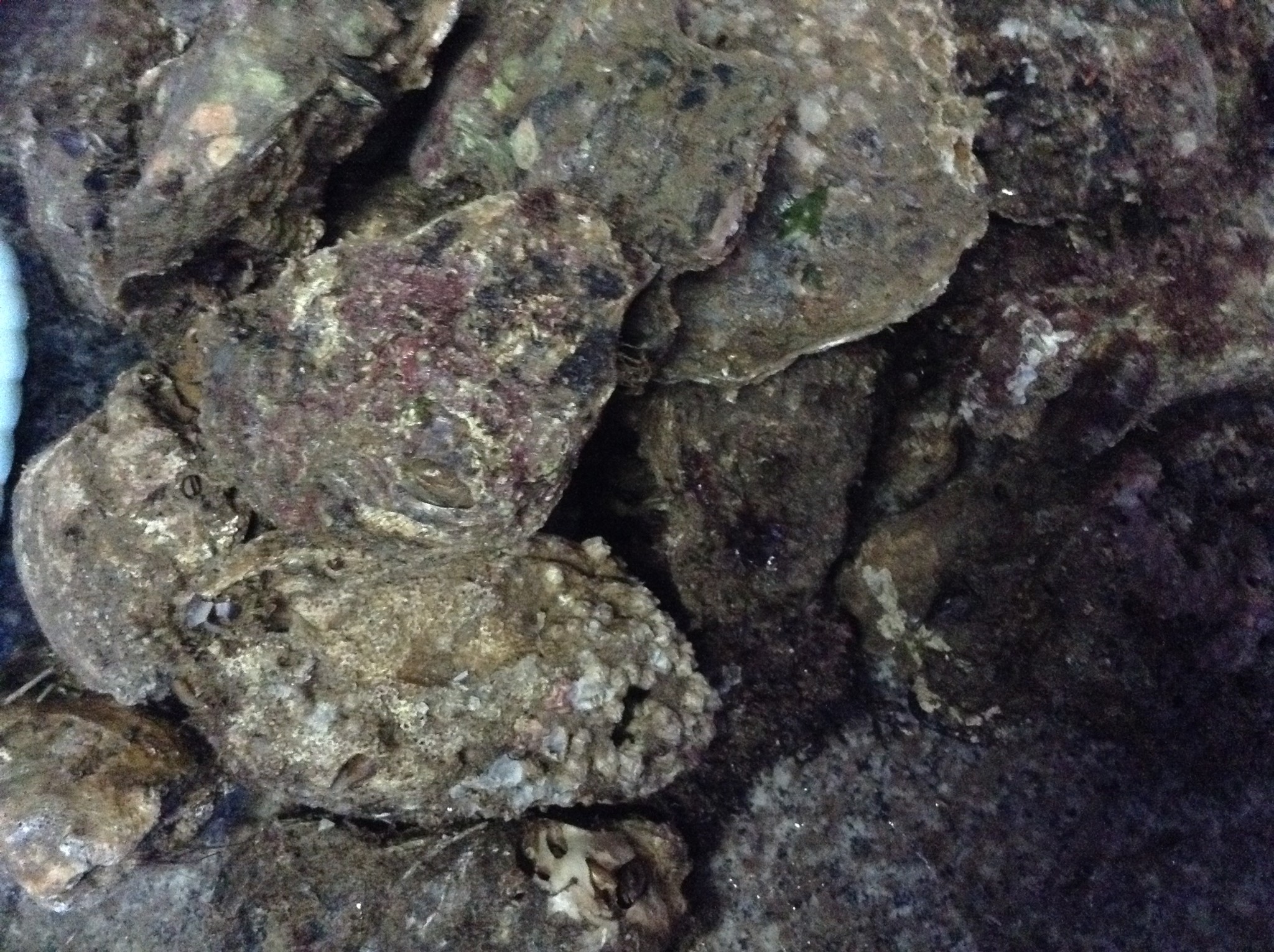 湍一而 杞 休 倍 立猜成语_看图猜成语(3)