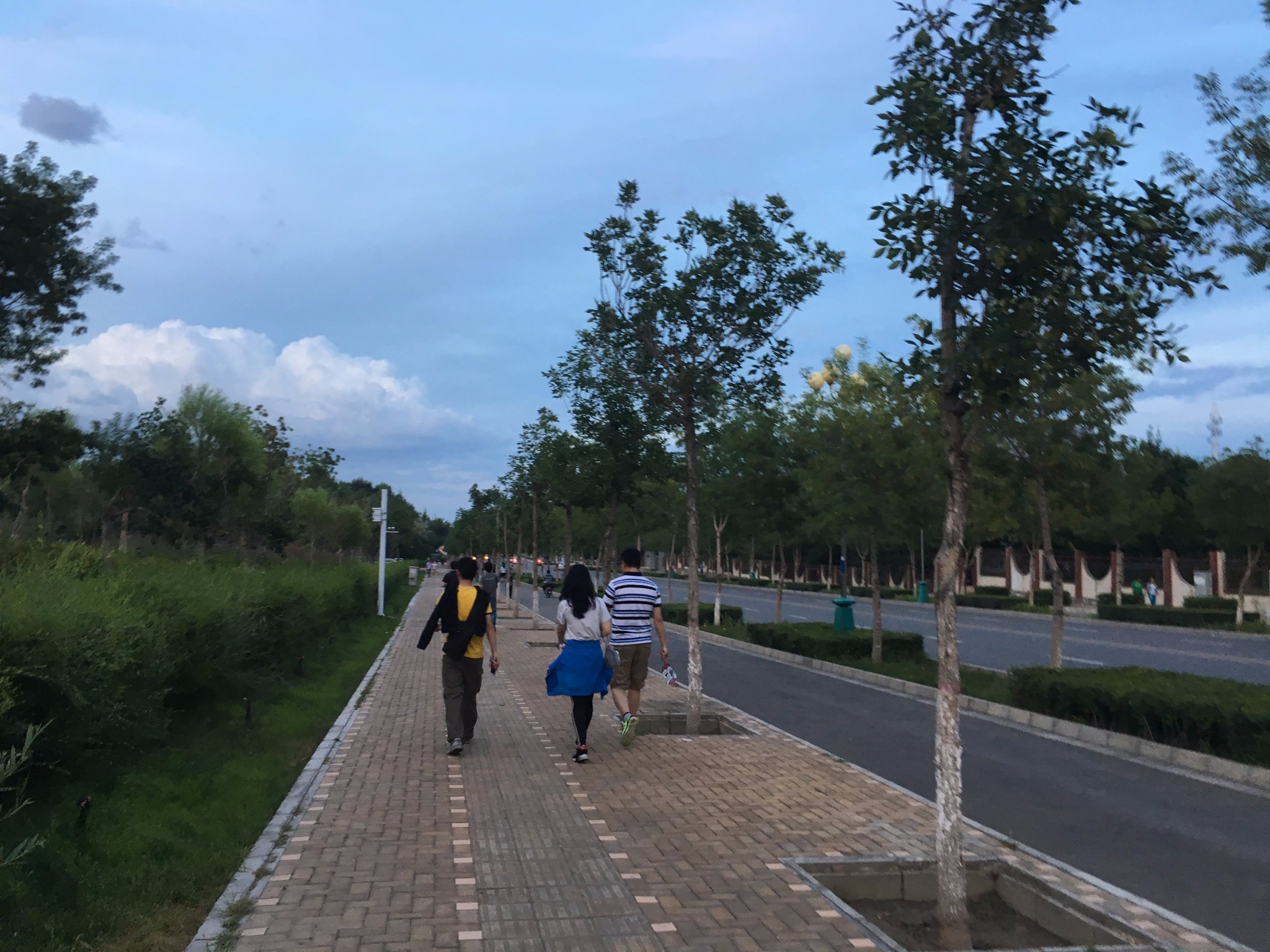 石河子城市GDP_石河子城市规划图高清(2)