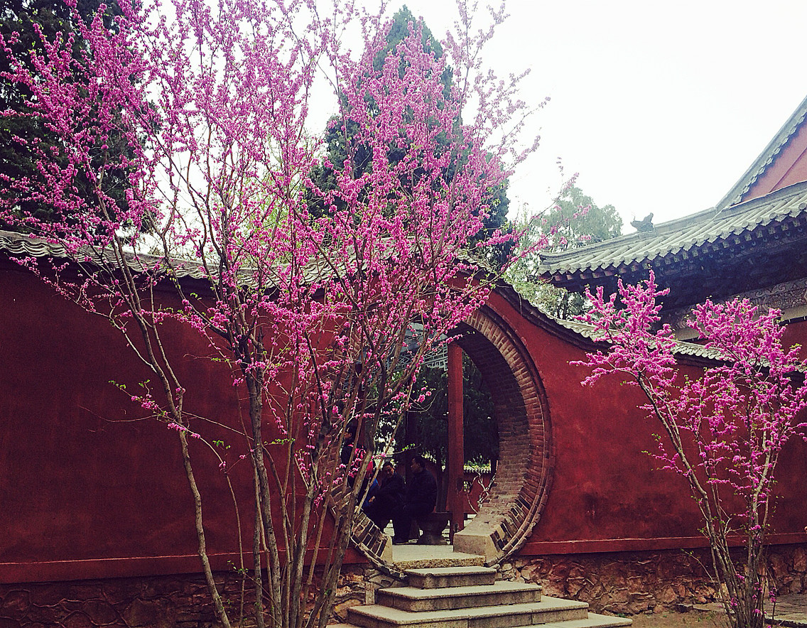 拧成什么成语_拧成一股绳图片(3)