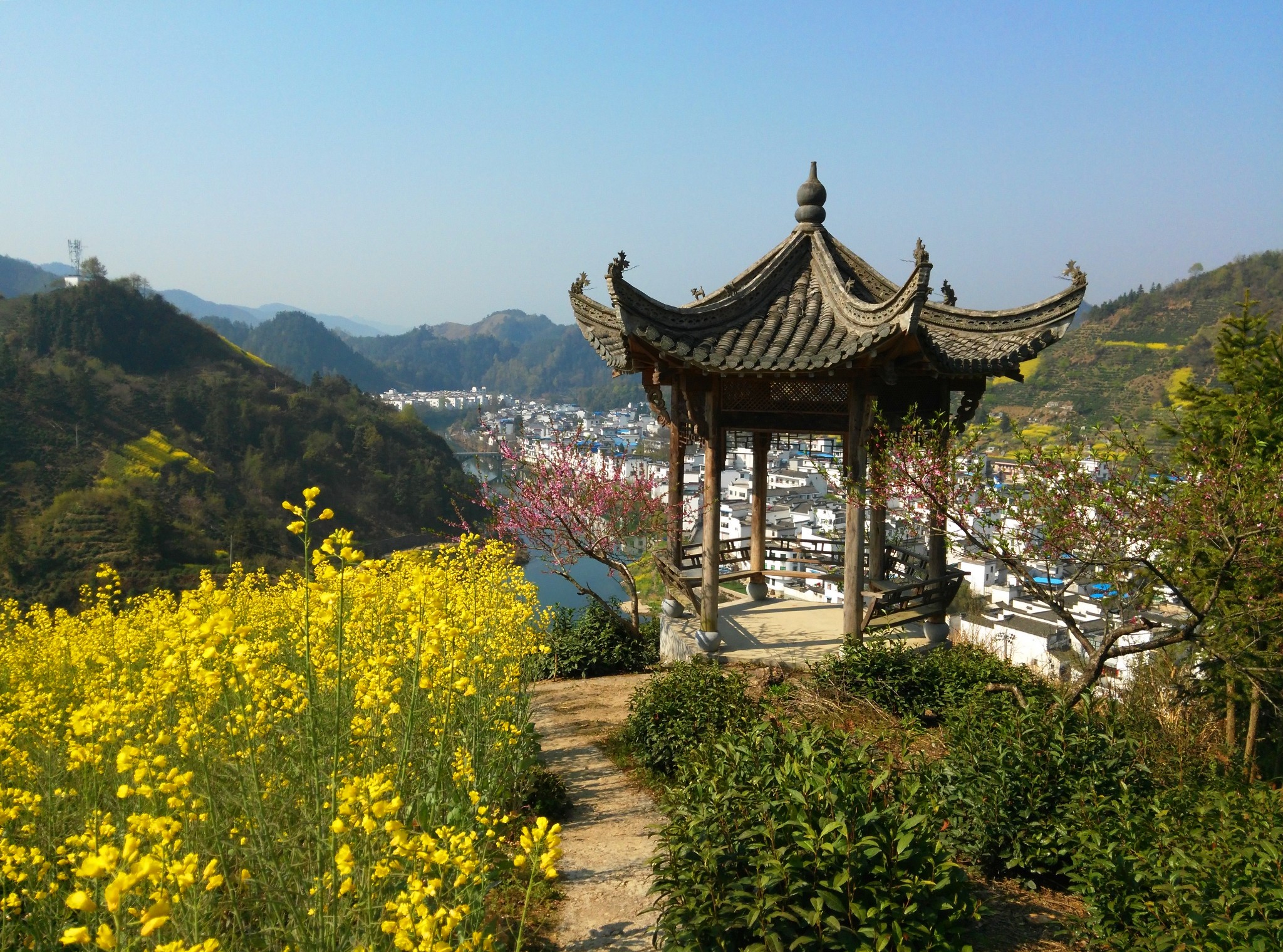 婺源周溪人口_婺源油菜花图片(3)