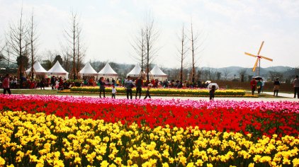 贵定金海雪山·四季花谷门票