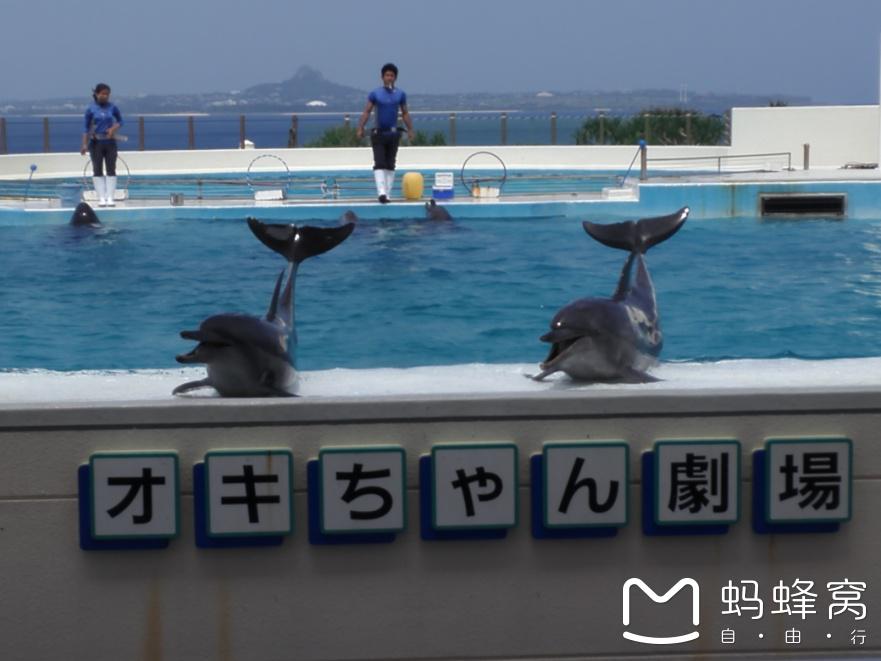 海洋博公园海豚表演剧场