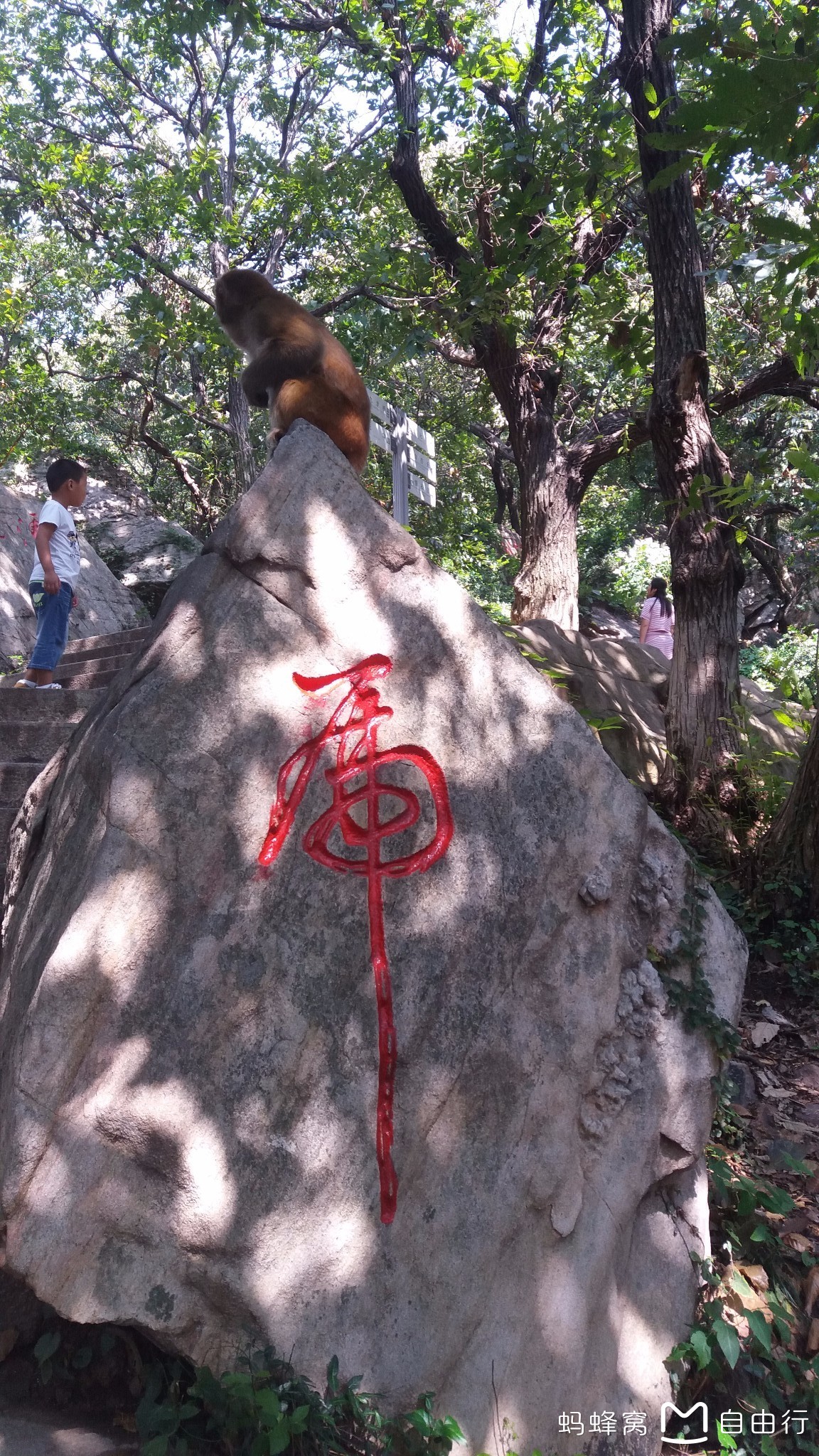 花果山          