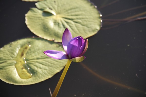 什么时候开始天气变暖和 wKgBs1gfJLyAPaSUAAURGnGj9m883.jpeg?imageView2%2F2%2Fw%2F600%2Fh%2F600%2Fq%2F90