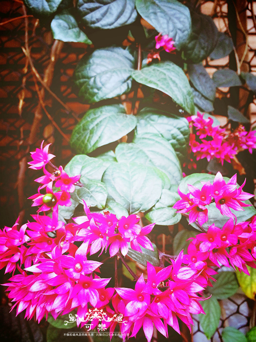 北投温泉,台北旅游攻略