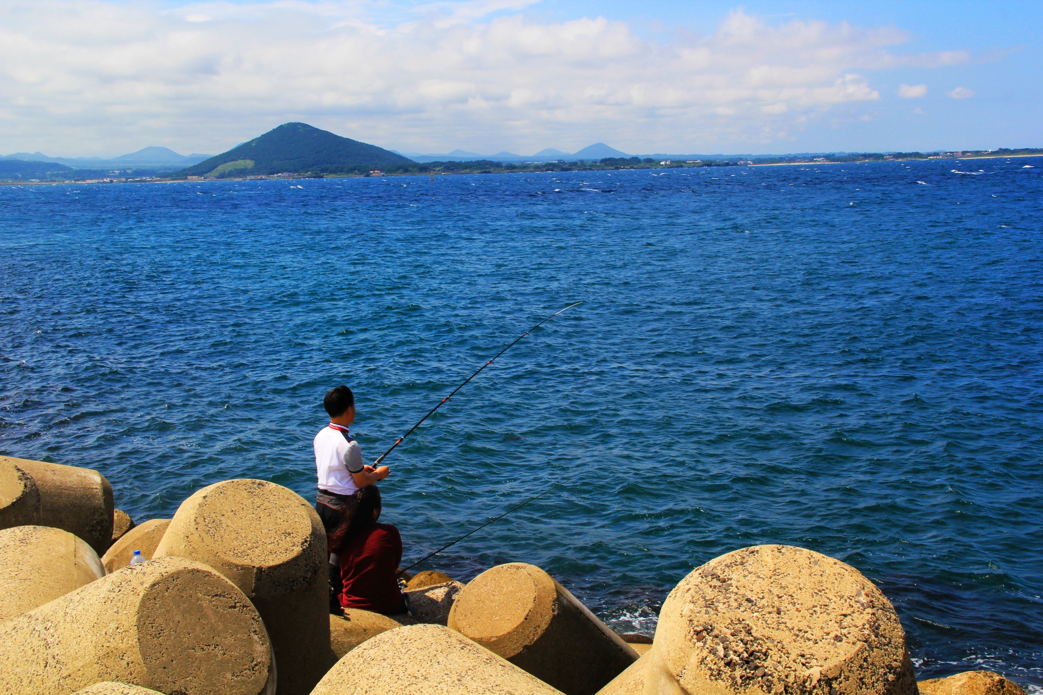 济州排名_济州真柏盆景图片(3)