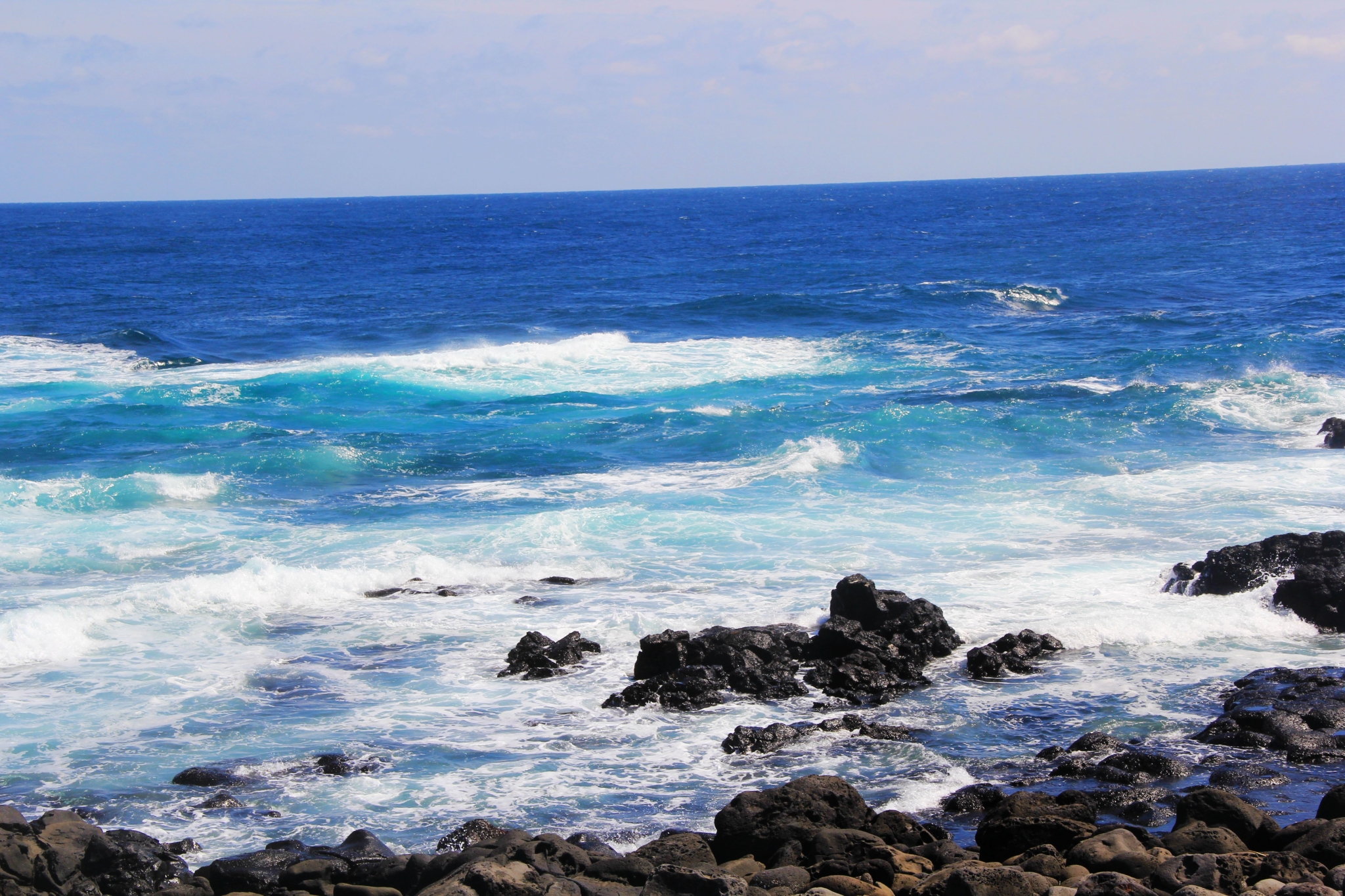 济州排名_济州真柏盆景图片