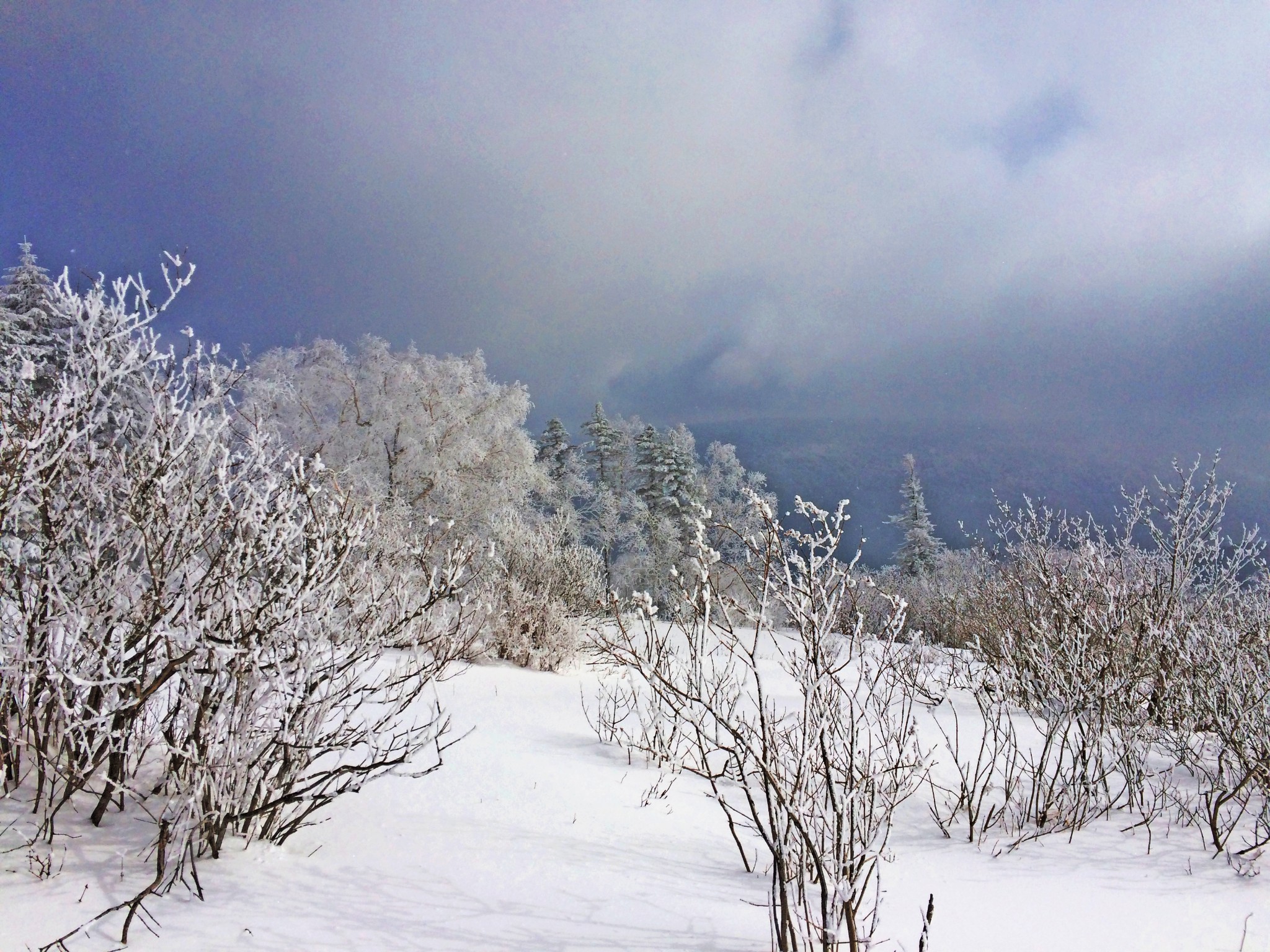 wKgBs1bpc5KAVcakAA7cpaR1A4E35.jpeg?imageView2%2F2%2Fw%2F600%2Fh%2F600%2Fq%2F90