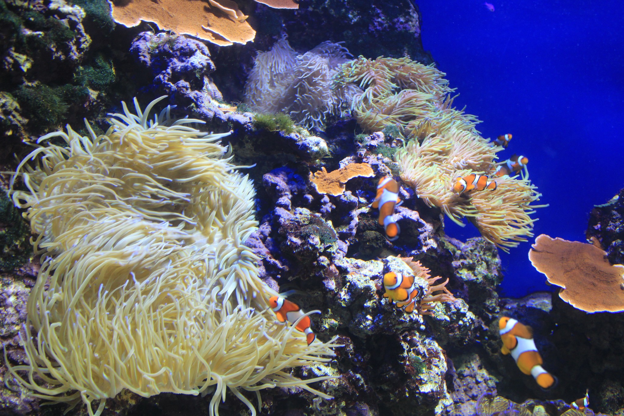 新加坡酒店_新加坡旅游景点_新加坡收入消费(2)