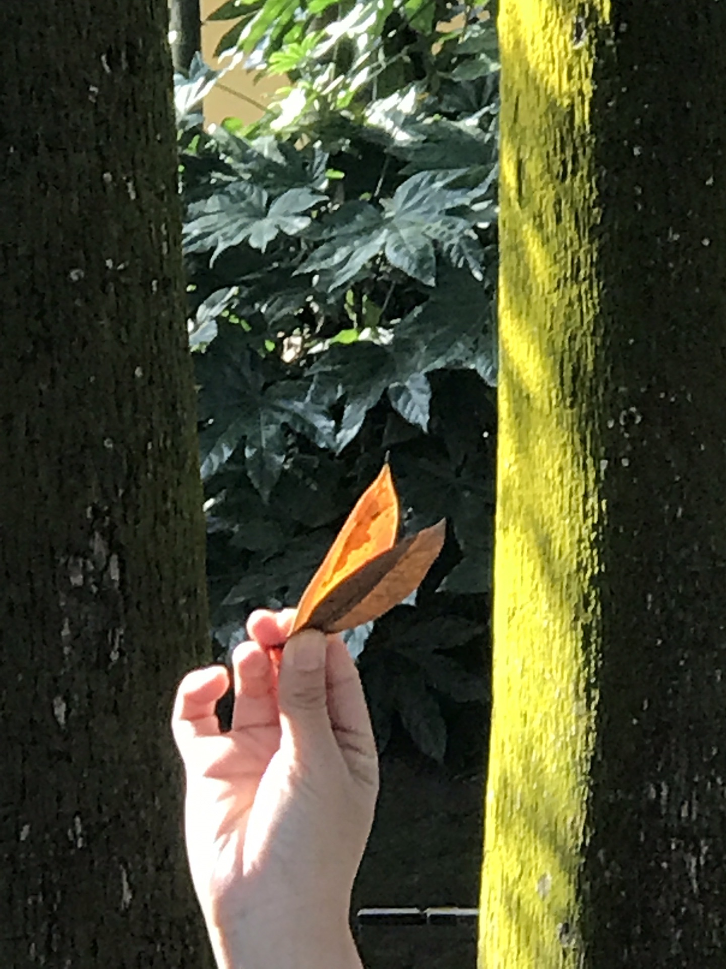 国人均收入水平_重庆市人均消费水平