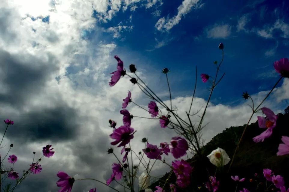 wKgBs1ZFmFiAQ_GbAAE_B9Pgxzo22.jpeg?imageView2%2F2%2Fw%2F600%2Fh%2F600%2Fq%2F90