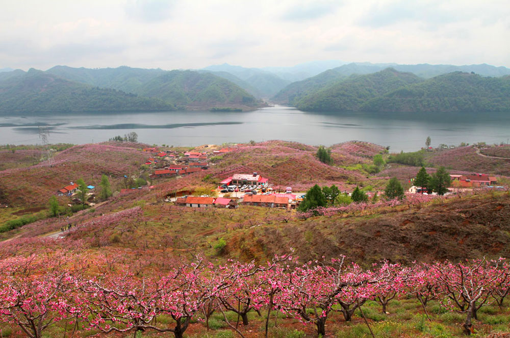 河口景区          