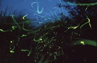 wKgBs1equGSAUEjWAAAlLs2HNAw04.jpeg?imageView2%2F2%2Fw%2F680%2Fq%2F90