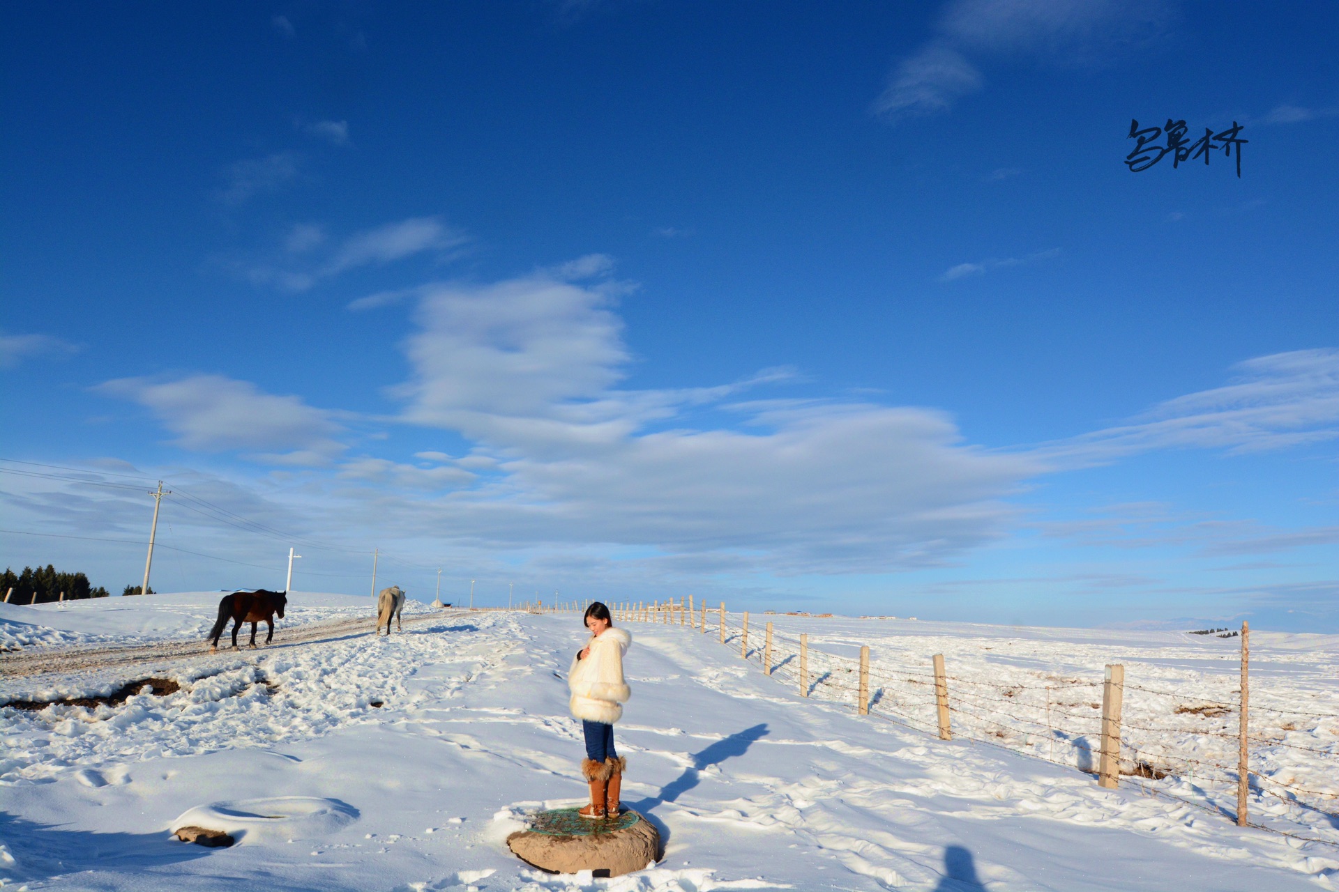 哈萨克新疆GDP(3)