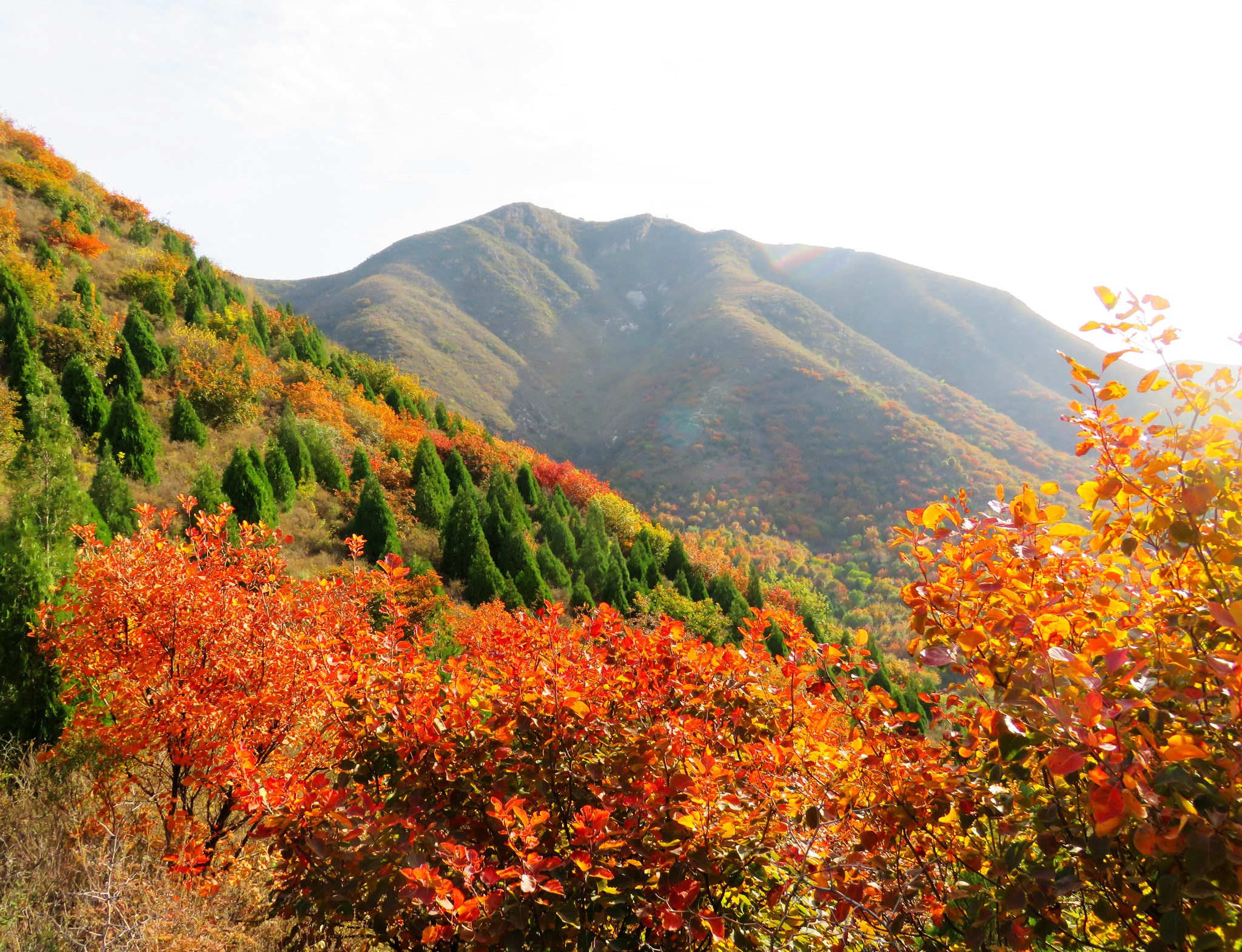 徒步顺义舞彩浅山之二白毛峪月明涧峪沟