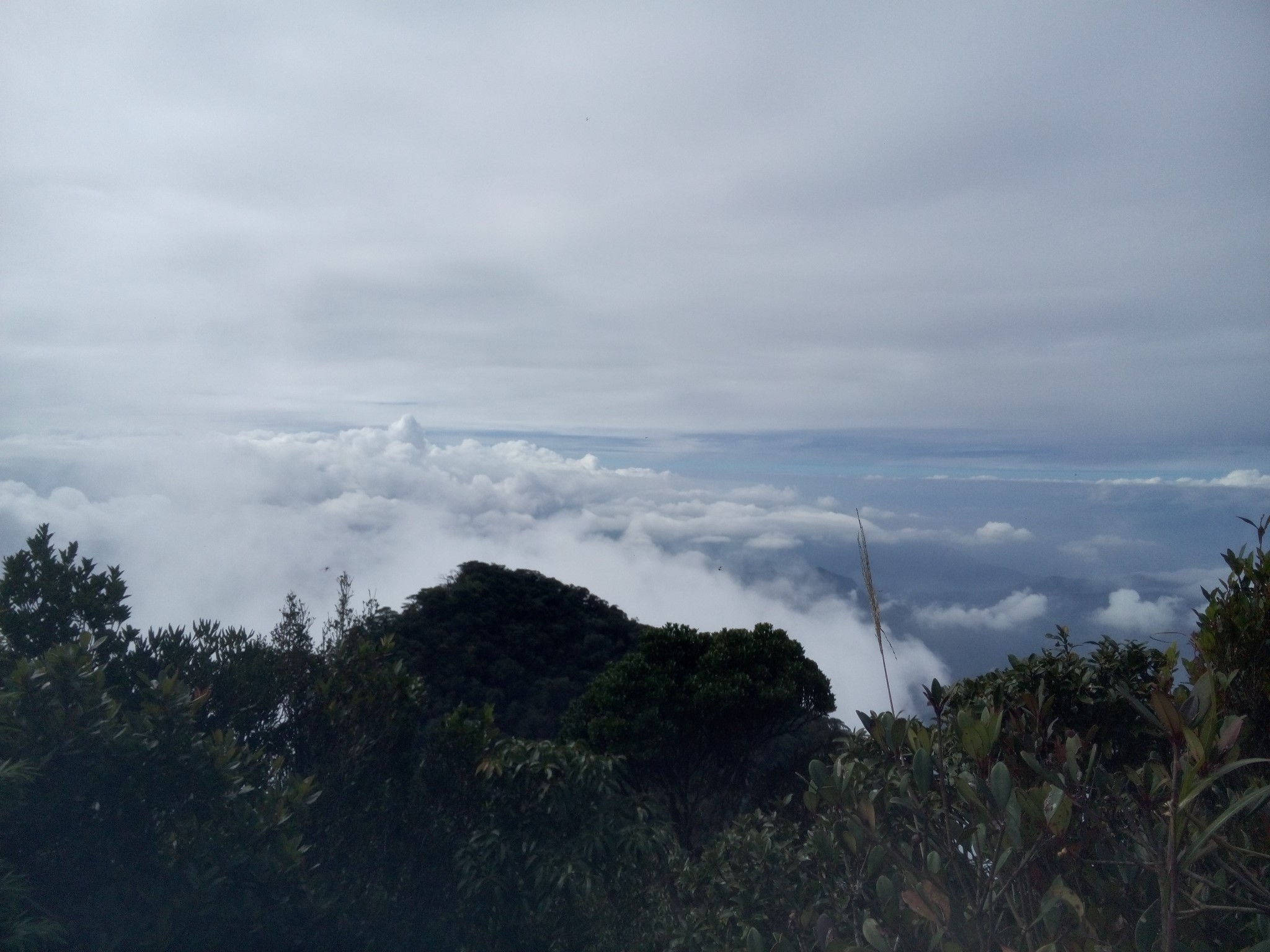 五指山人口_五指山的人口