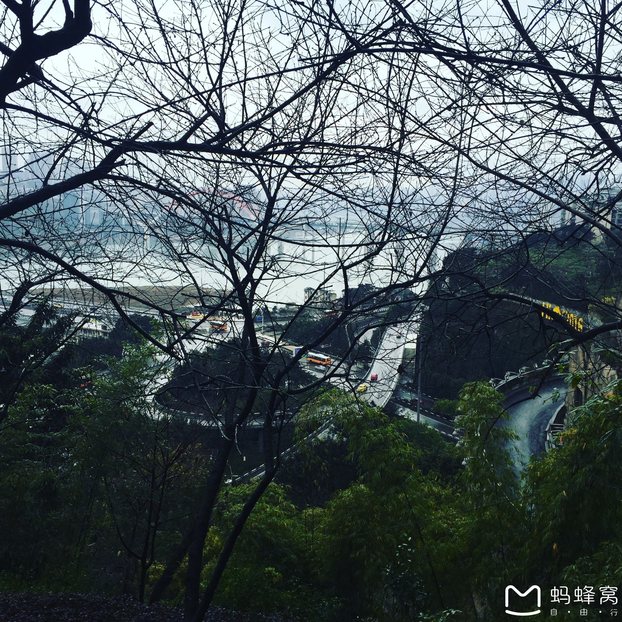 重庆小天鹅火锅_重庆小天鹅人均(2)