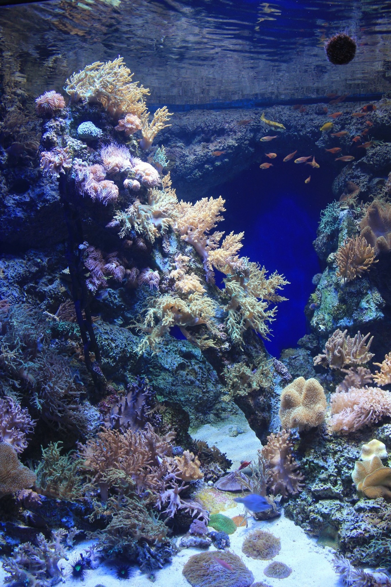 新加坡酒店_新加坡旅游景点_新加坡收入消费