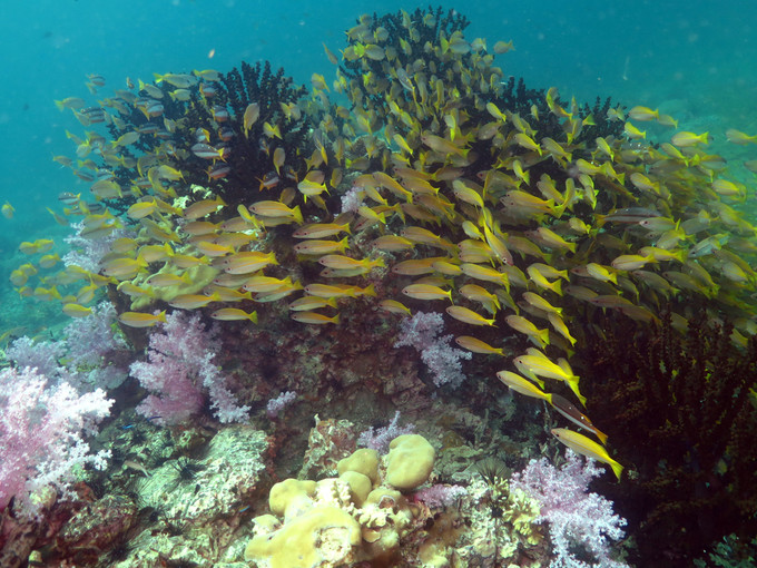 wKgBs1gWDKqAGOXkAAKmlx8vvb893.jpeg?imageView2%2F2%2Fw%2F600%2Fh%2F600%2Fq%2F90%7Cimageslim