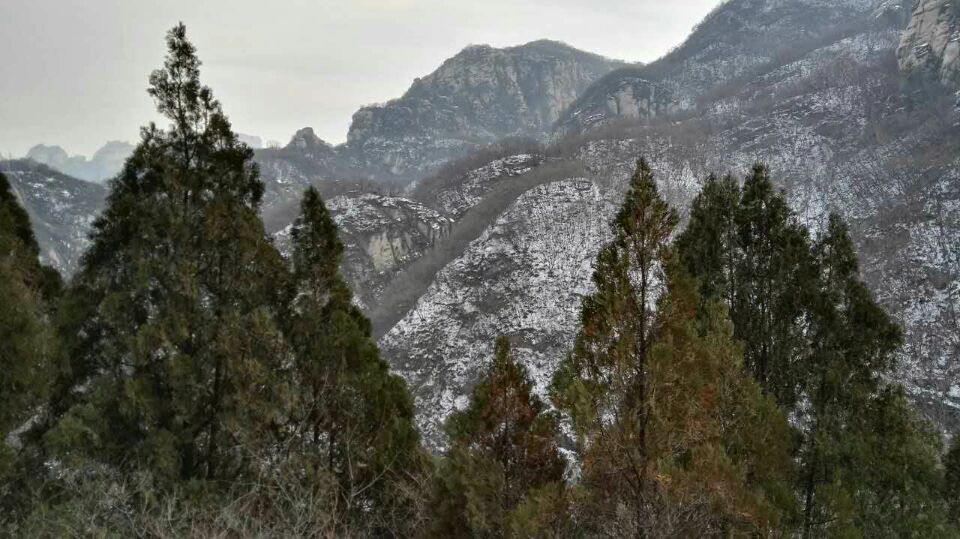 四川南溪有多少人口_四川南溪古街年味照片