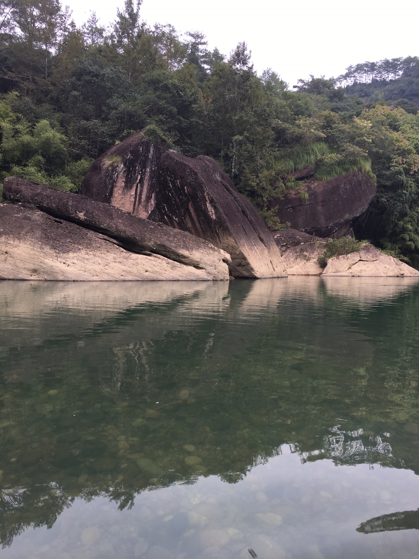 武夷山竹产业人口_武夷山大红袍母树(2)