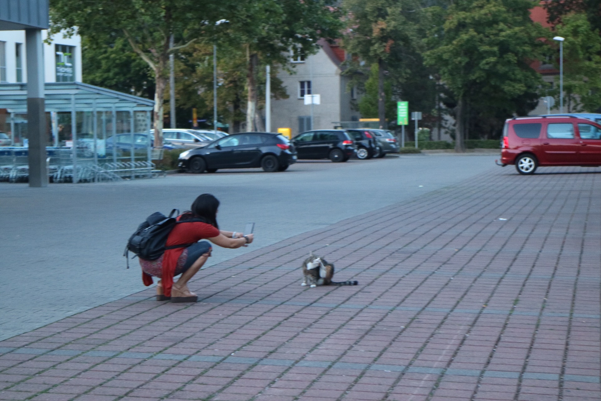 奧地利自助遊攻略