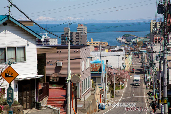 札幌自助遊攻略