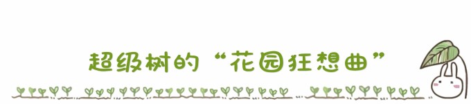 ...........超级树的“花园狂想曲” ...........超级树的“花园狂想曲”