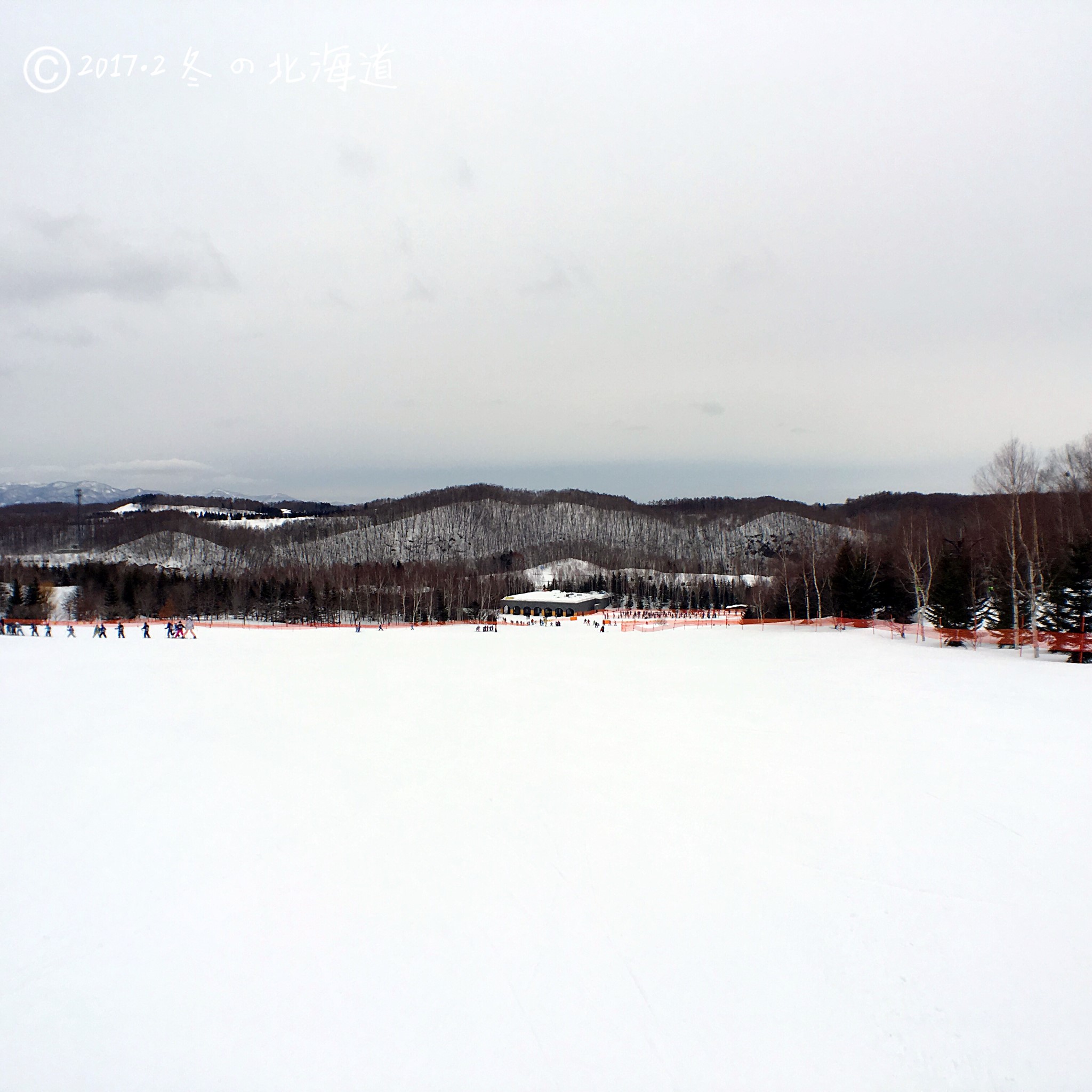 北海道自助遊攻略